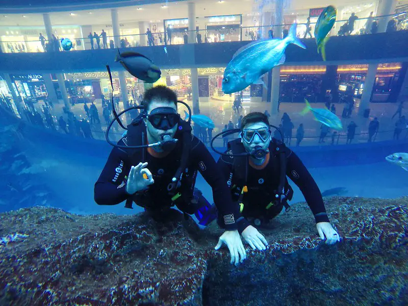 Buceo en el Dubai Mall Aquarium