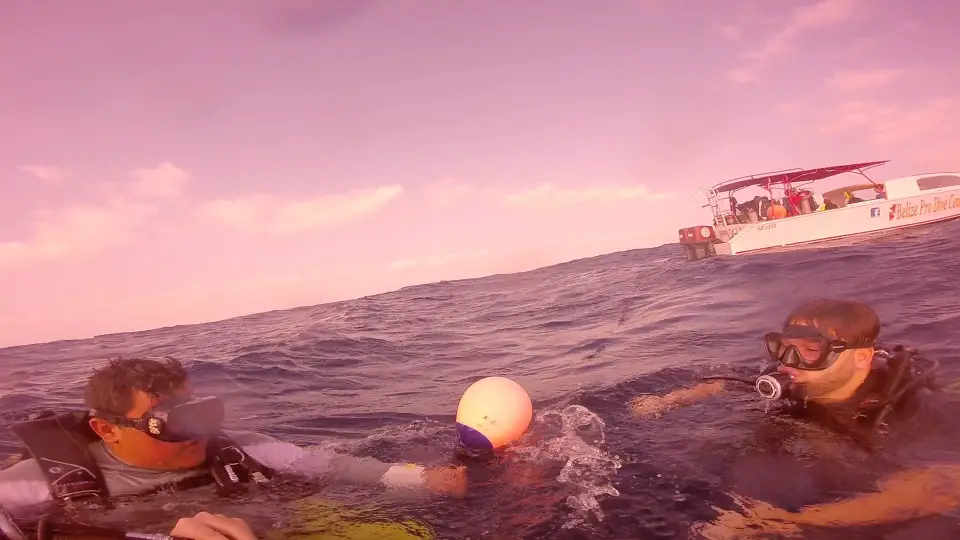 Buceadores flotando en el océano
