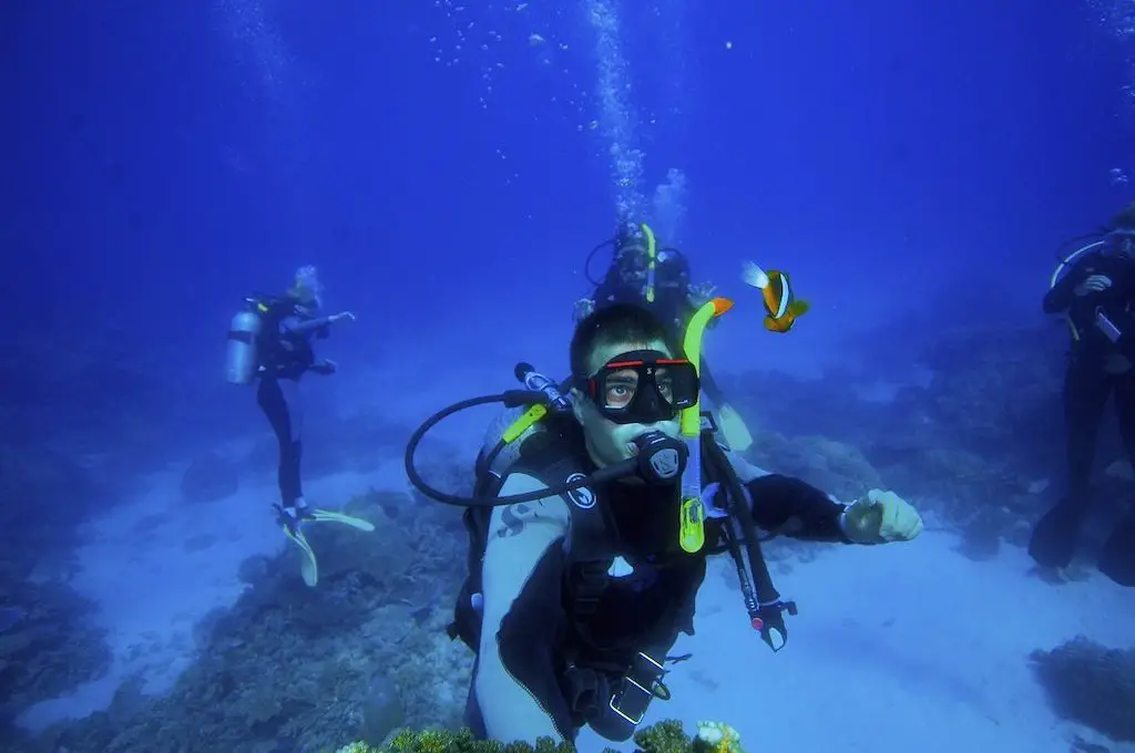 Buceador de la Gran Barrera de Coral de Australia con pez payaso