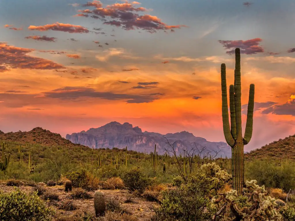 Puesta de sol en el desierto de Sonora, Phoenix, Arizona