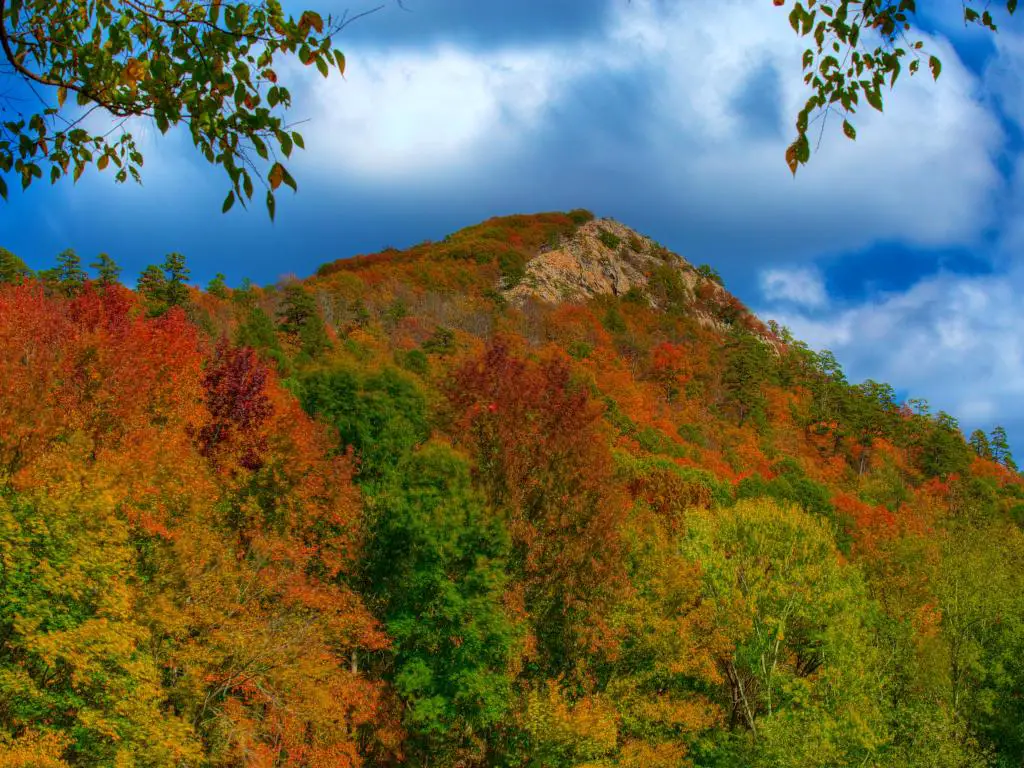 Pinnacle Mountain State Park, Little Rock, Arkansas, EE.UU. tomada en otoño con árboles y la montaña en la distancia. 