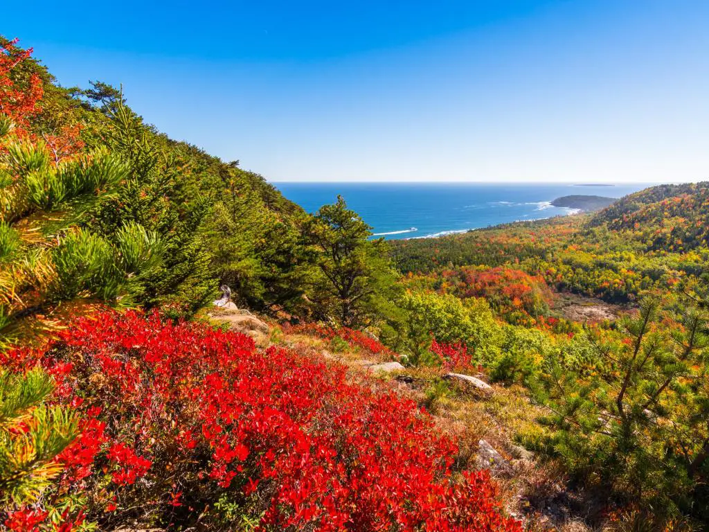 Vista del Parque Nacional Acadia durante la temporada de follaje de otoño