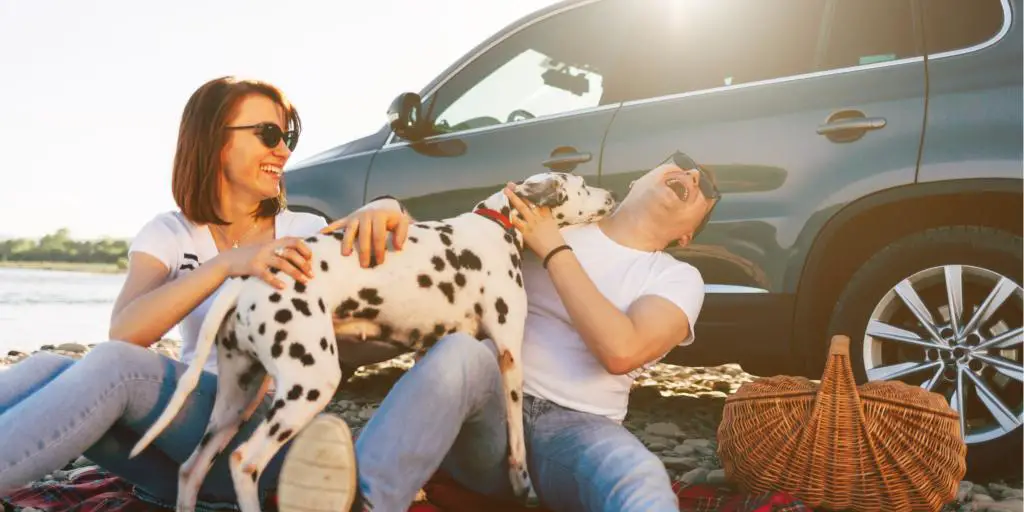 Una pareja hace un picnic con su perro al lado de su coche en un viaje por carretera