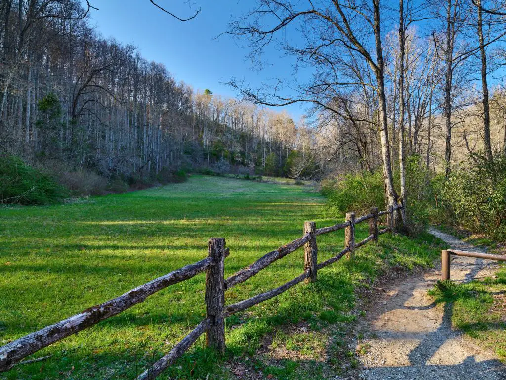 Bosque Nacional Pisgah, Carolina del Norte, EE.UU. con vistas a una ruta de senderismo, una valla de madera y árboles y hierba en un soleado día de invierno.