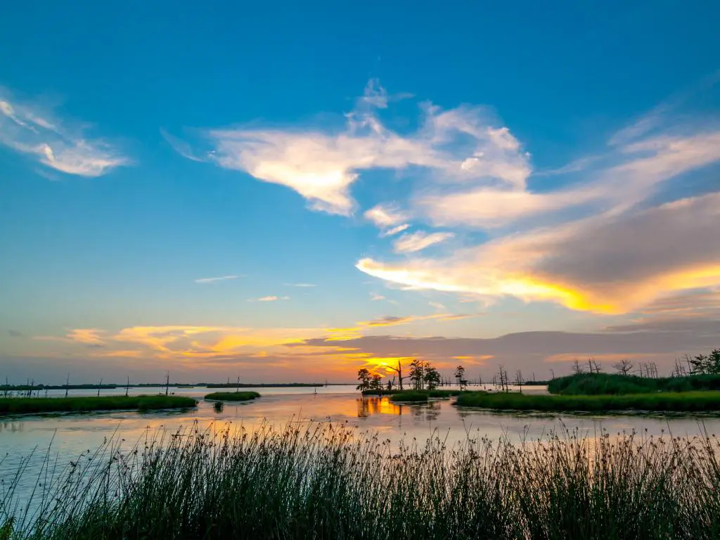 Río Mississippi, Estados Unidos con una colorida puesta de sol sobre el río con nubes en el cielo azul y juncos en primer plano.