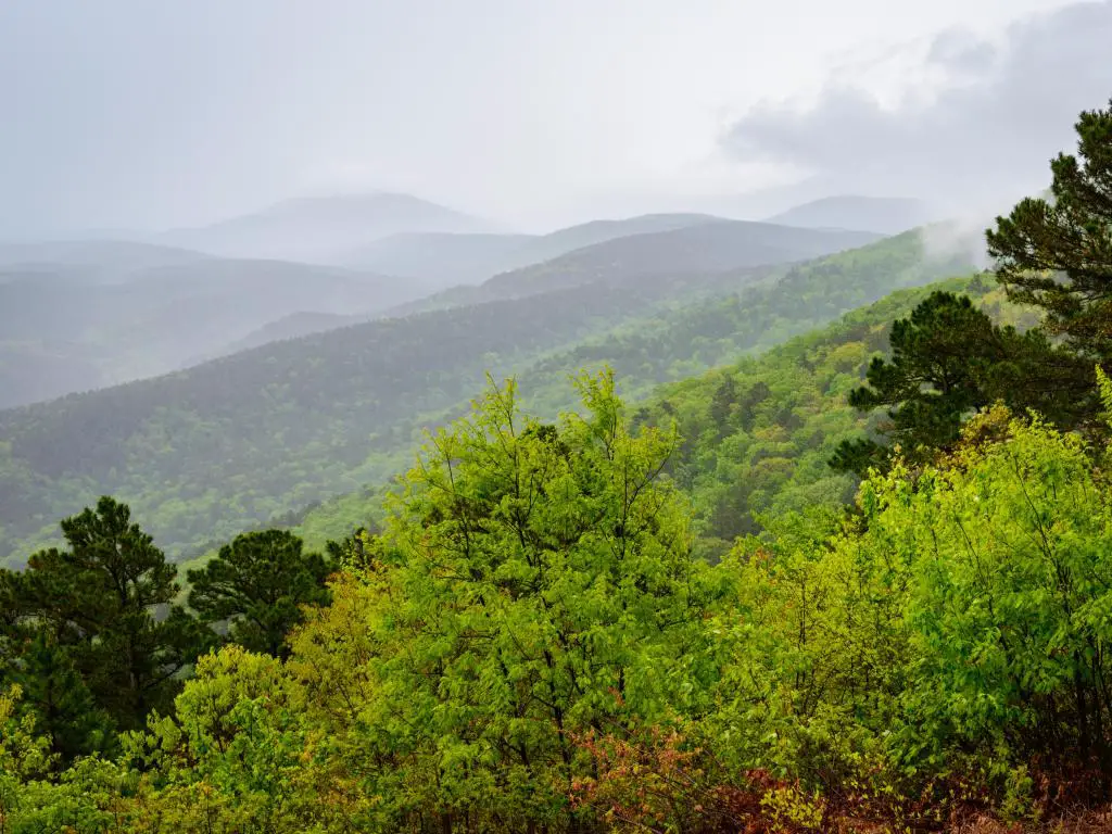 Bosque Nacional Ouachita, EE.UU. con árboles verdes en primer plano y montañas en el fondo en la niebla.