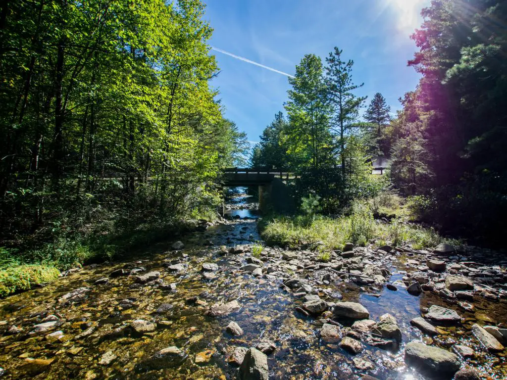 Bosque Estatal de Michaux, Pensilvania, EE.UU. Tomado con vistas al embalse de Long Pine durante el verano con agua rocosa en primer plano, un puente y árboles en la distancia. 