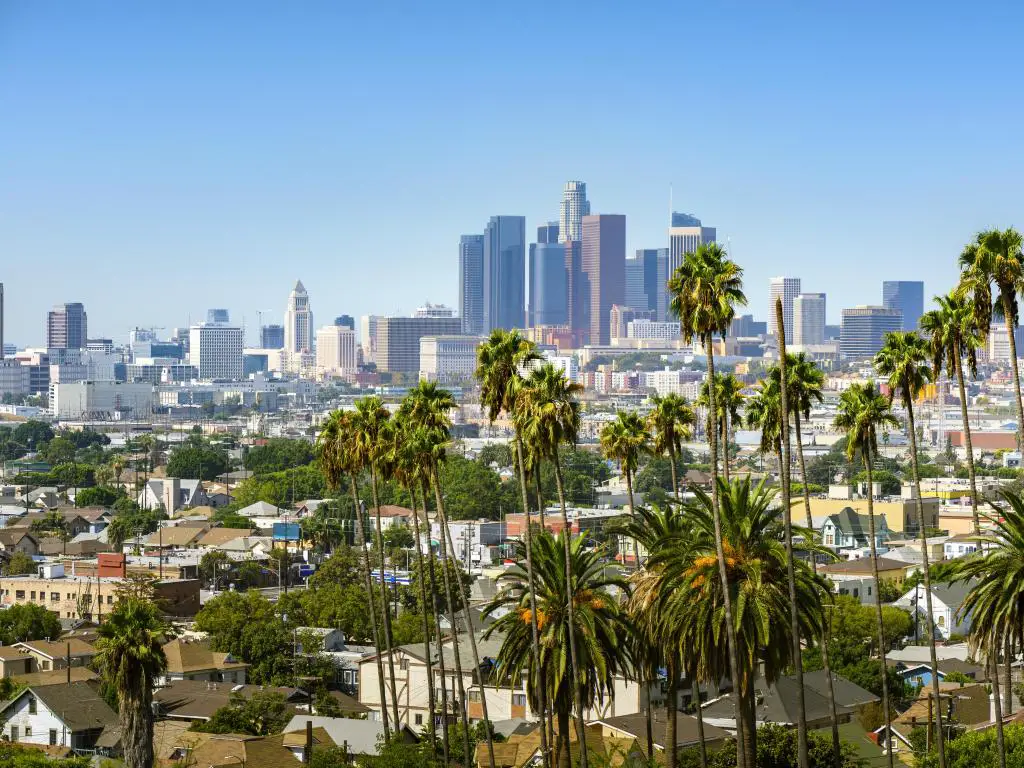 Los Ángeles, California, Estados Unidos, con el horizonte del centro a lo lejos y palmeras en primer plano tomadas en un día soleado.