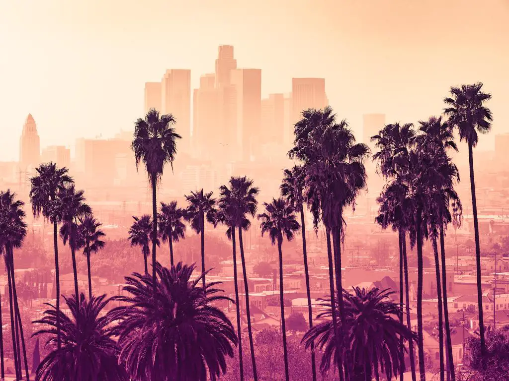 El horizonte de Los Ángeles en una luz amarilla nebulosa con siluetas de palmeras en primer plano