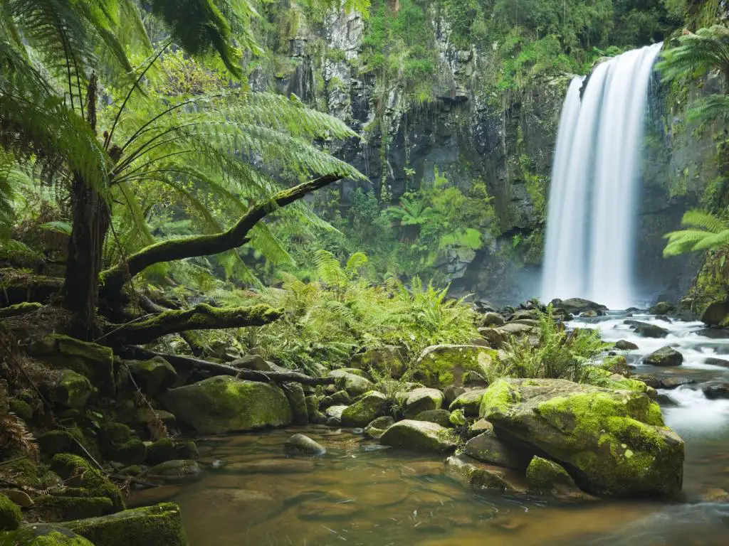 Parque Nacional Great Otway, Victoria, Australia con una cascada en una exuberante selva tropical tomada en Hopetoun Falls con árboles y rocas en el agua en primer plano. 