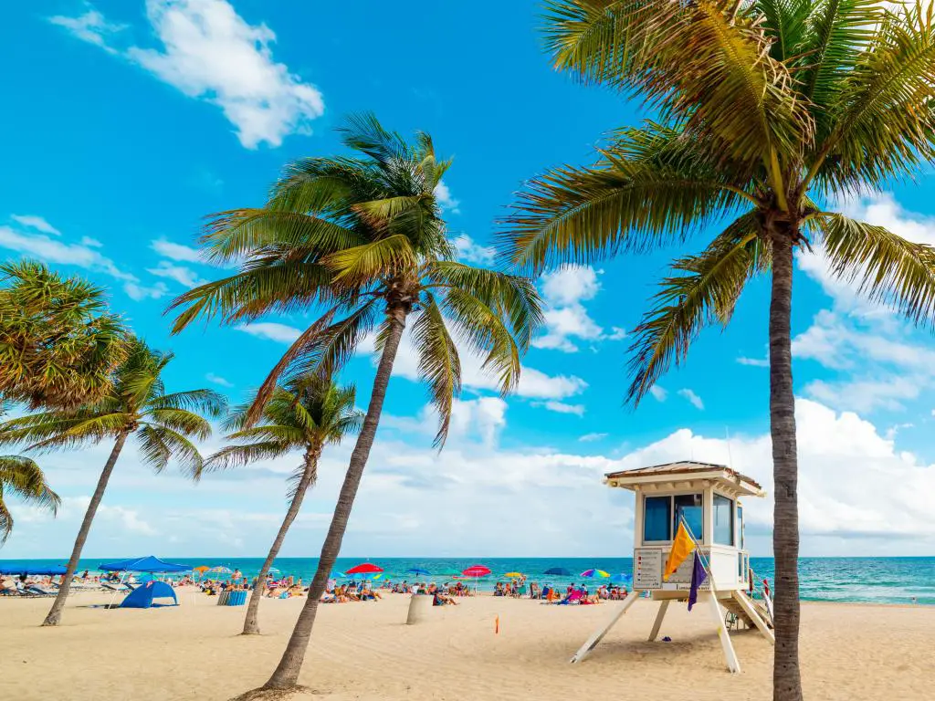Fort Lauderdale, Florida, EE.UU. con arena dorada y cocoteros en la costa de Fort Lauderdale tomada en un día claro y soleado.