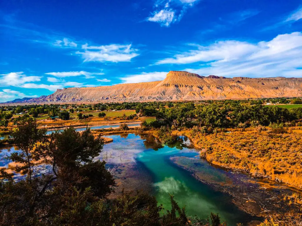 Bosques Nacionales de Grand Mesa, Uncompahgre y Gunnison, EE.UU. con el río Colorado en primer plano y rodeado de tierras anaranjadas, árboles y formaciones montañosas en el fondo en un día claro y soleado.