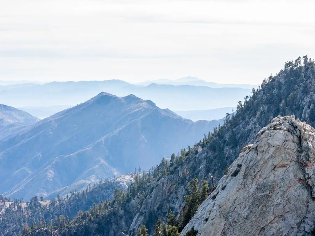 Las montañas del Parque Estatal Mount San Jacinto se extienden en la distancia con un bosque y una neblina azul.