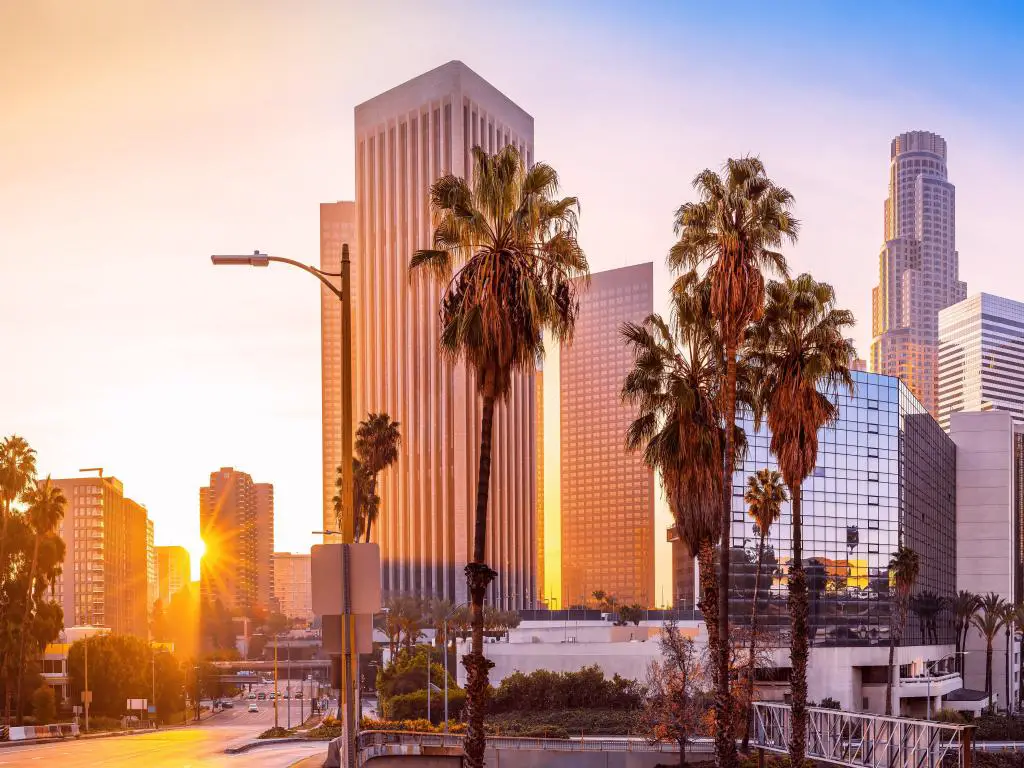 Los Ángeles, Estados Unidos con el horizonte de la ciudad con palmeras en primer plano durante el amanecer.