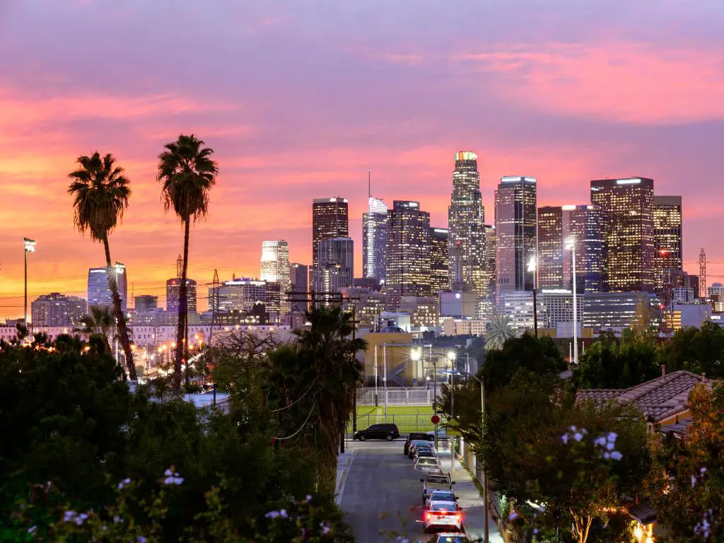 El horizonte del centro de Los Ángeles al atardecer con palmeras a la izquierda y la ciudad detrás.