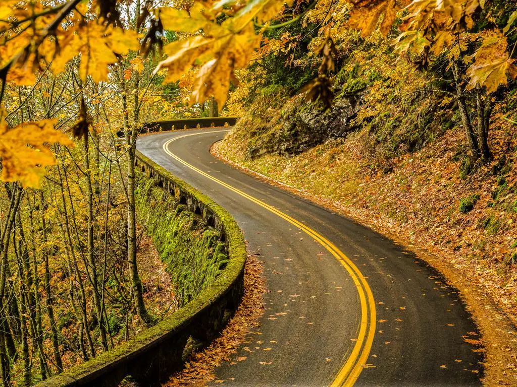 Un viaje impresionante en Old Columbia River Highway en otoño con las hojas doradas cayendo en el camino en el área escénica nacional del río Columbia, Oregon