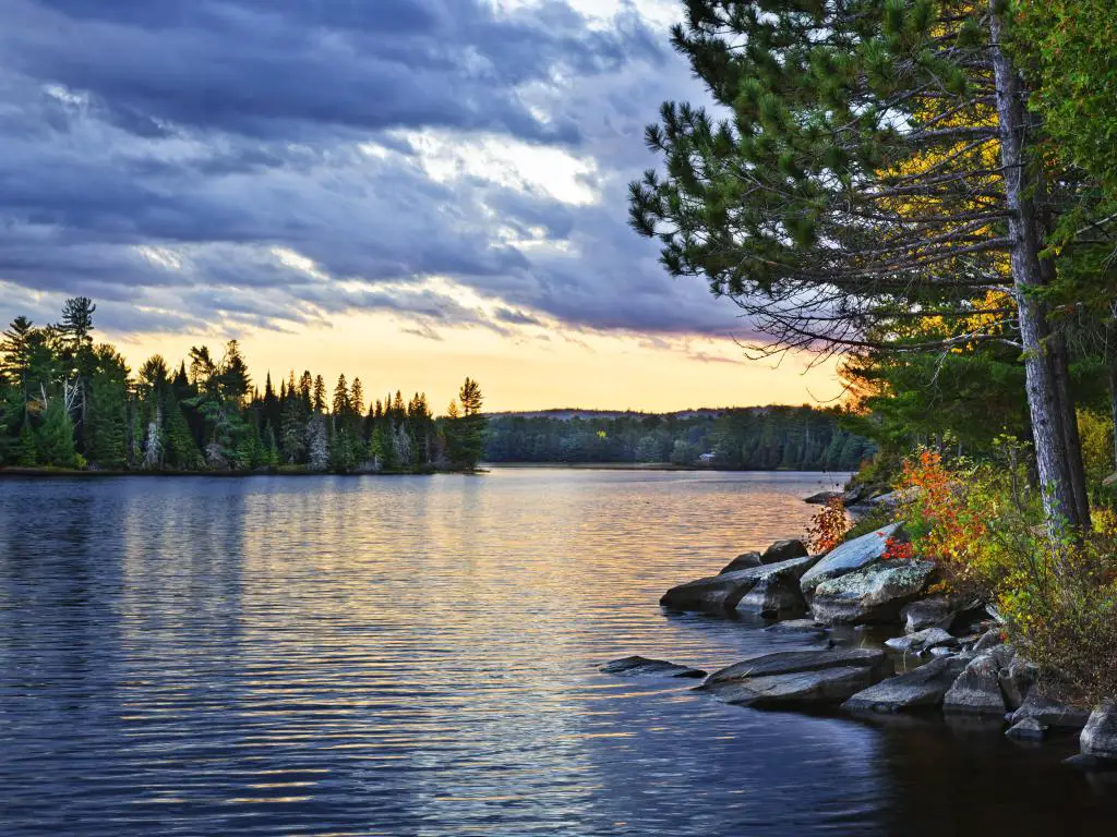 Espectacular puesta de sol y pinos en el lago de dos ríos en Algonquin Park, Ontario, Canadá