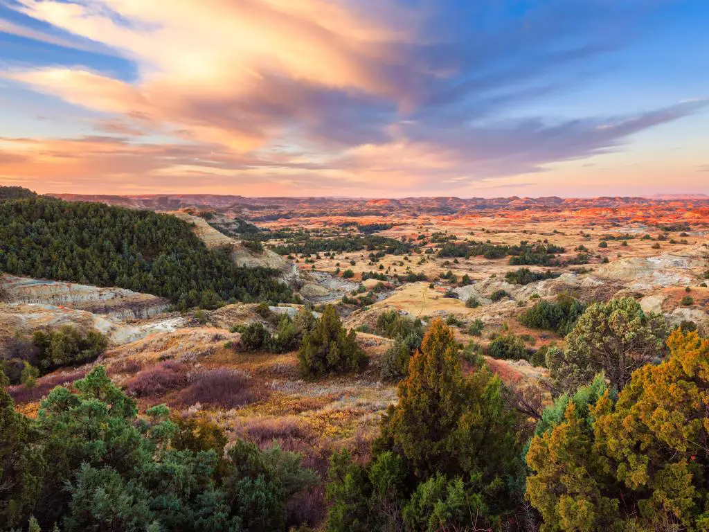 Parque Nacional Theodore Roosevelt, Dakota del Norte al amanecer con los impresionantes colores de las flores silvestres y los árboles y las tierras rocosas en la distancia. 