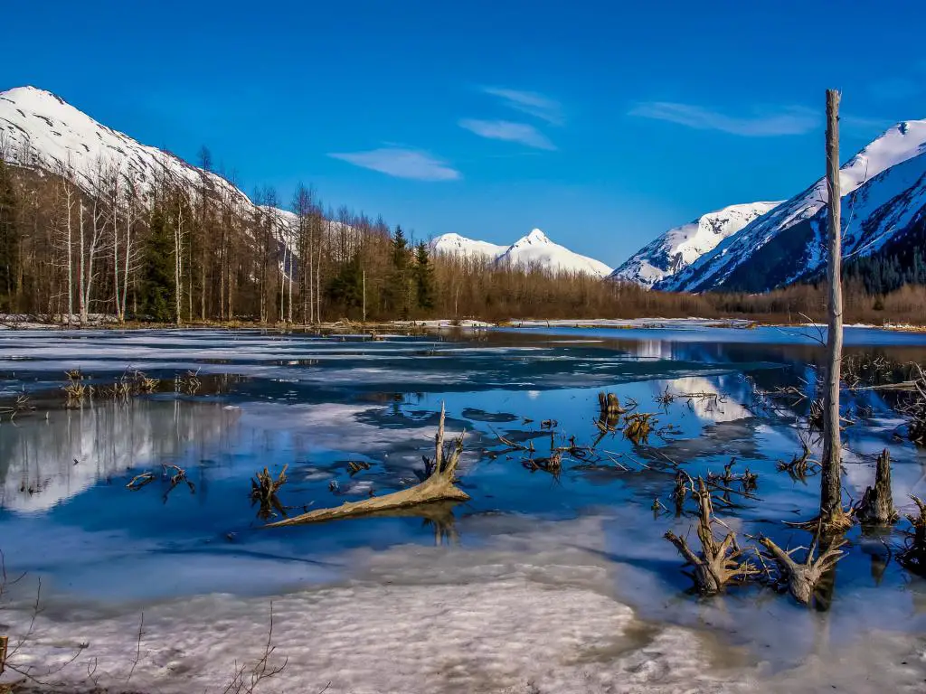 Lago parcialmente congelado con cordillera reflejada en el gran desierto de Alaska