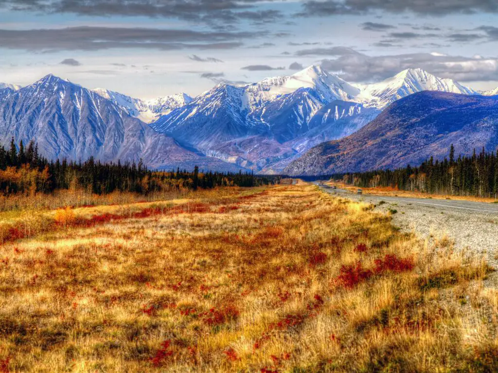 Whitehorse a Haines Junction, Territorios de Yukon, Canadá con hierba amarilla y naranja en primer plano y un camino que conduce a las pintorescas montañas cubiertas de nieve en la distancia. 