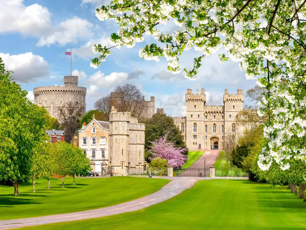 Castillo de Windsor, suburbios de Londres, Reino Unido tomado en primavera con árboles en flor y un camino que conduce al castillo. 