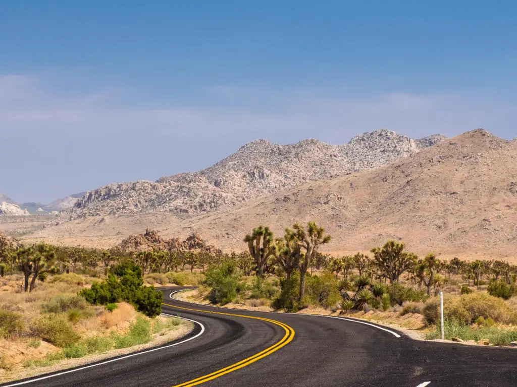 Carretera que atraviesa el desierto en el Parque Nacional Joshua Tree, con montañas al fondo y cielo azul arriba