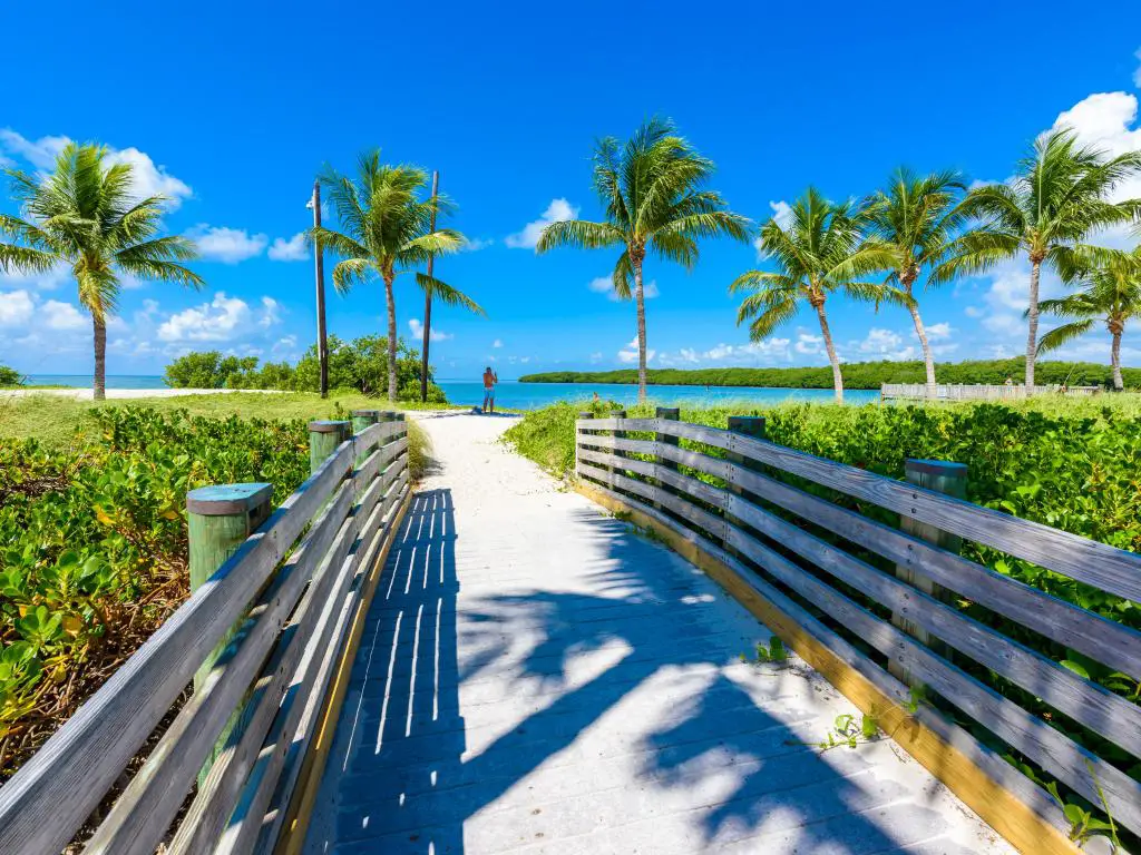 Sombrero Beach con palmeras en los Cayos de Florida, Marathon, Florida, Estados Unidos.  Destino tropical y paradisíaco para vacaciones.