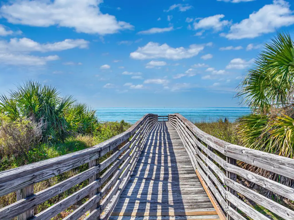 Camino de madera a la playa rodeado de palmeras.  Isla barrera en la Costa del Golfo.  Parque Estatal Honeymoon Island, Florida, Estados Unidos.
