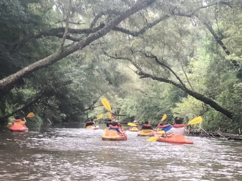 15 MEJORES parques acuáticos en Mississippi (¡diversión familiar favorita!)