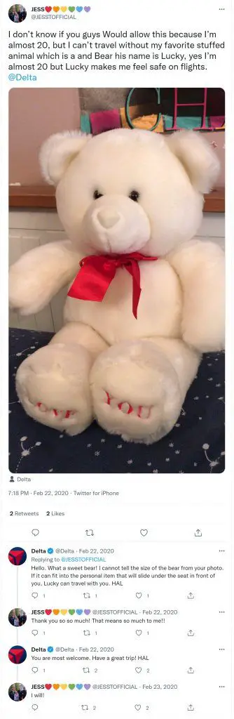 ¿Puedes llevar animales de peluche en un avión? (Reglas de la TSA)