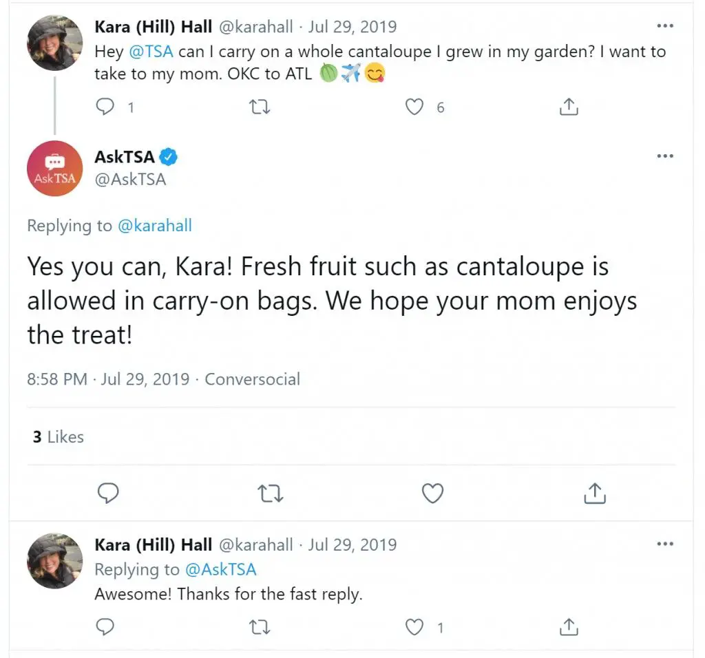 ¿Se puede llevar fruta en un avión?