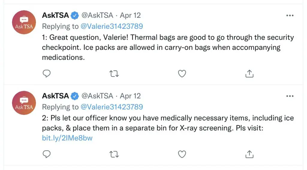 ¿Puedes llevar bolsas de hielo en un avión? (Reglas de la TSA)