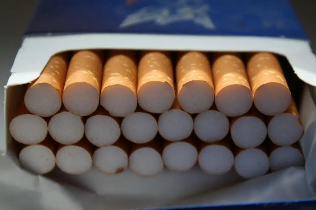 ¿Se pueden llevar cigarrillos en un avión? (TSA y Normas Aduaneras) [2022]