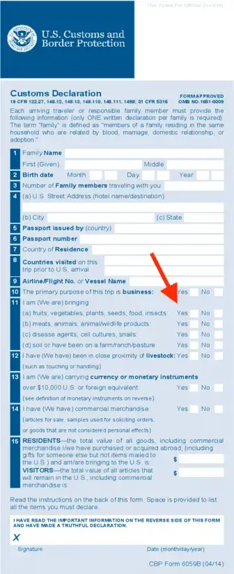 ¿Puedes llevar plantas en un avión? (Reglas de la TSA) [2023]