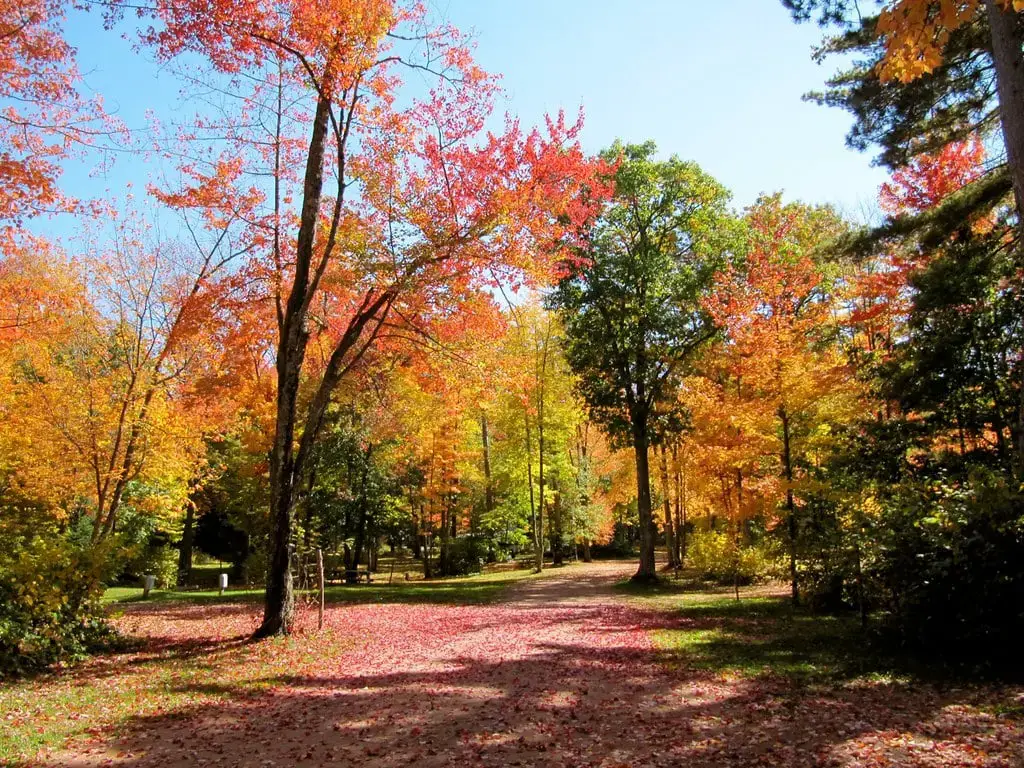 Los 40 mejores lugares para acampar en Wisconsin (cerca de Dells y parques estatales)