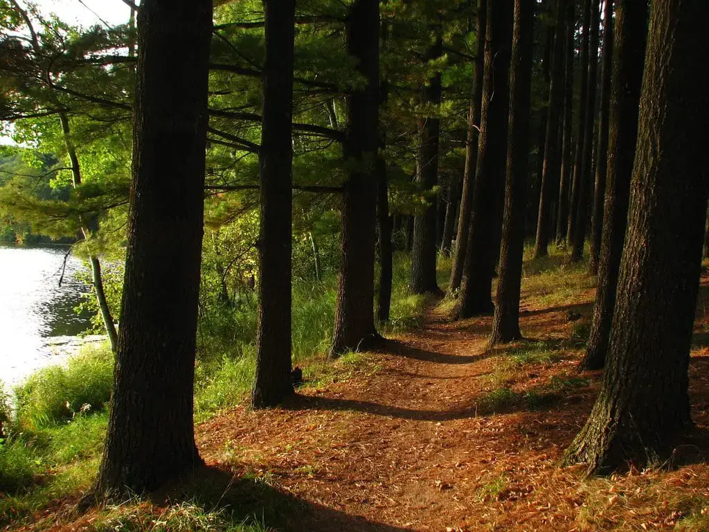 Los 40 mejores lugares para acampar en Wisconsin (cerca de Dells y parques estatales)