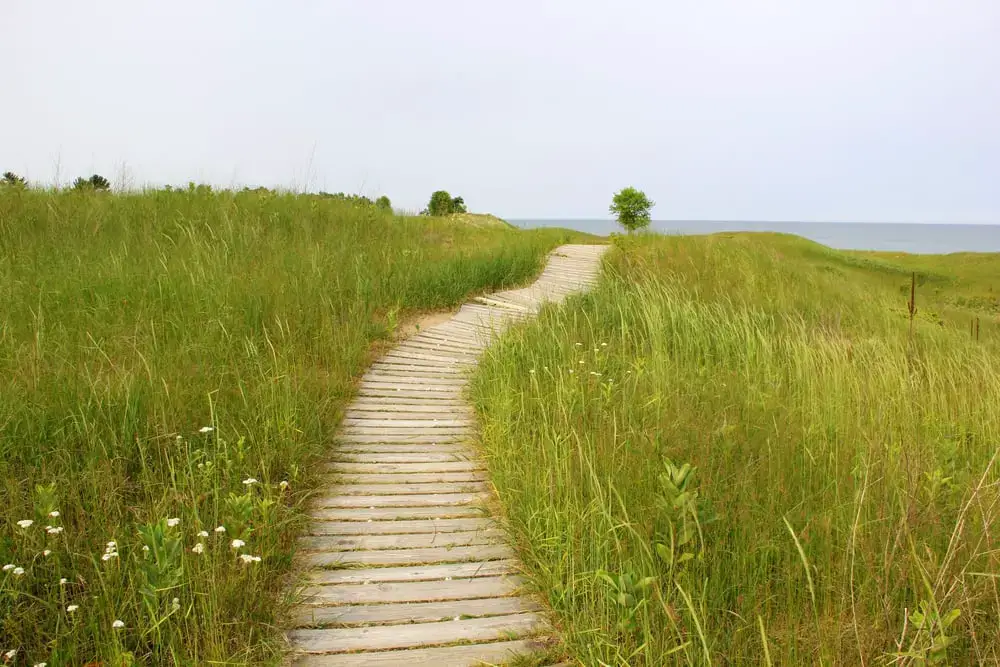 Los 40 mejores lugares para acampar en Wisconsin (cerca de Dells y parques estatales)
