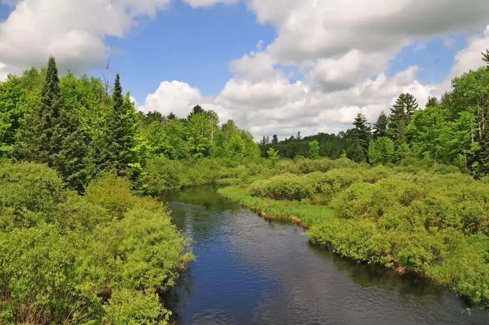 Los 40 mejores lugares para acampar en Wisconsin (cerca de Dells y parques estatales)