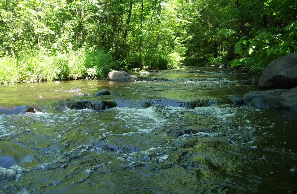 Los 40 mejores lugares para acampar en Wisconsin (cerca de Dells y parques estatales)