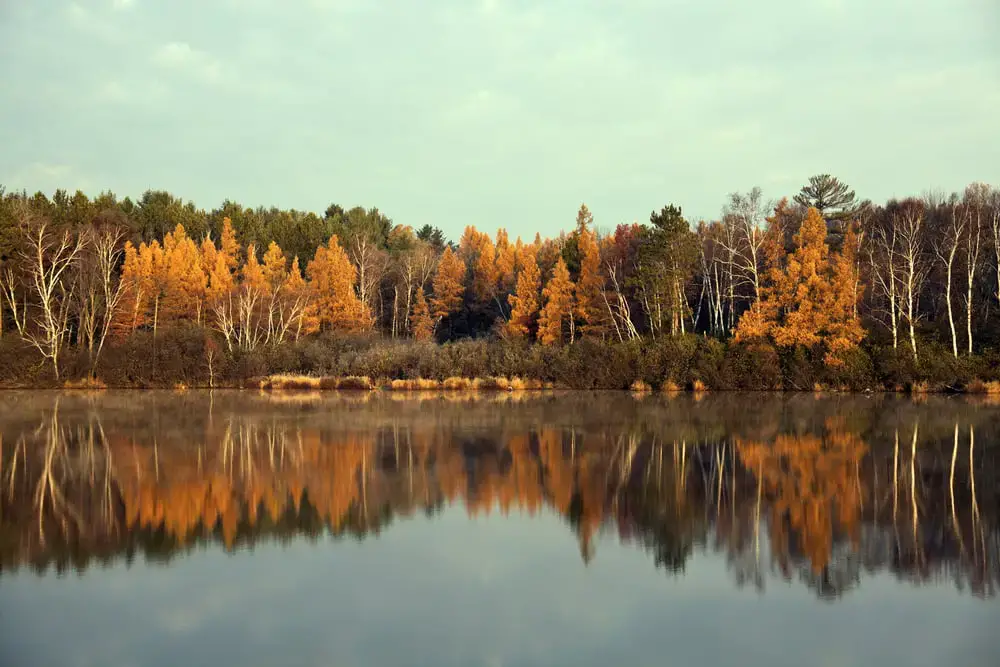 Los 40 mejores lugares para acampar en Wisconsin (cerca de Dells y parques estatales)