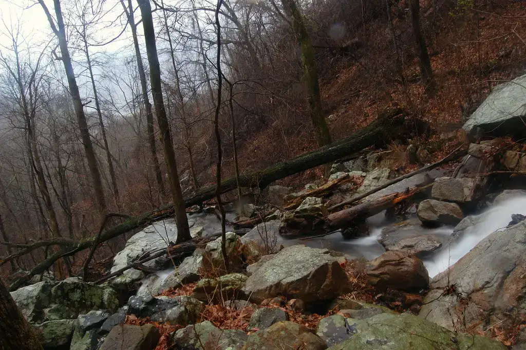 Las 20 mejores cascadas cerca de Chattanooga (fácilmente accesibles para todos)