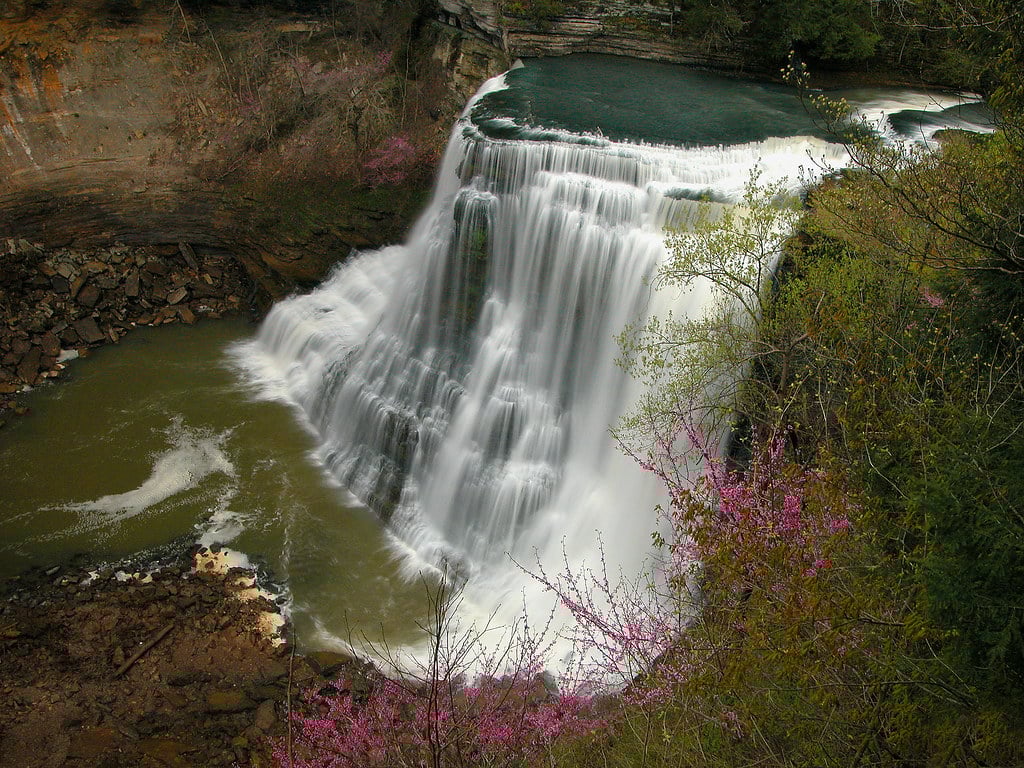 Las 20 mejores cascadas cerca de Chattanooga (fácilmente accesibles para todos)
