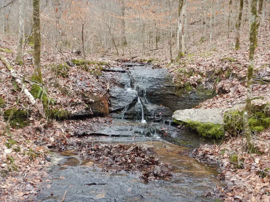 Las 20 mejores cascadas cerca de Chattanooga (fácilmente accesibles para todos)