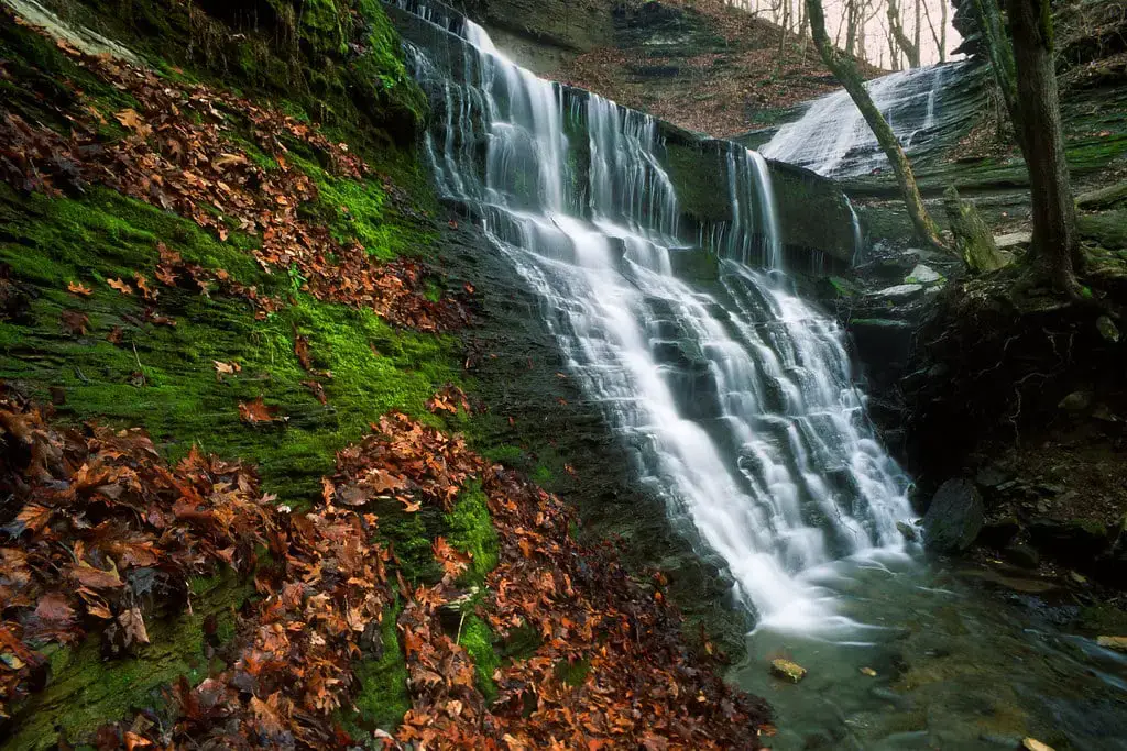 Las 20 mejores cascadas cerca de Chattanooga (fácilmente accesibles para todos)