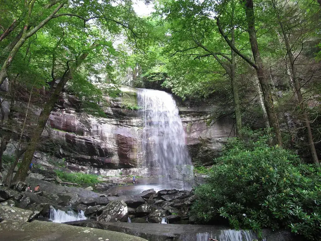 Las 20 mejores cascadas cerca de Chattanooga (fácilmente accesibles para todos)