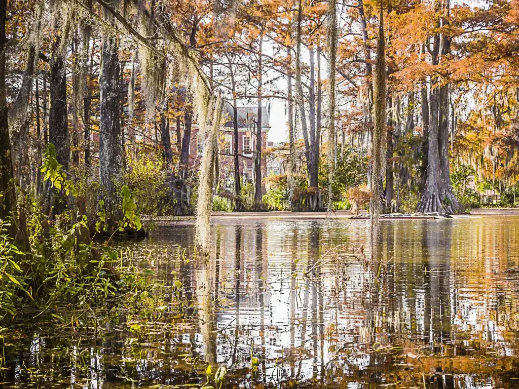 Viaje por carretera de Houston a Nueva Orleans