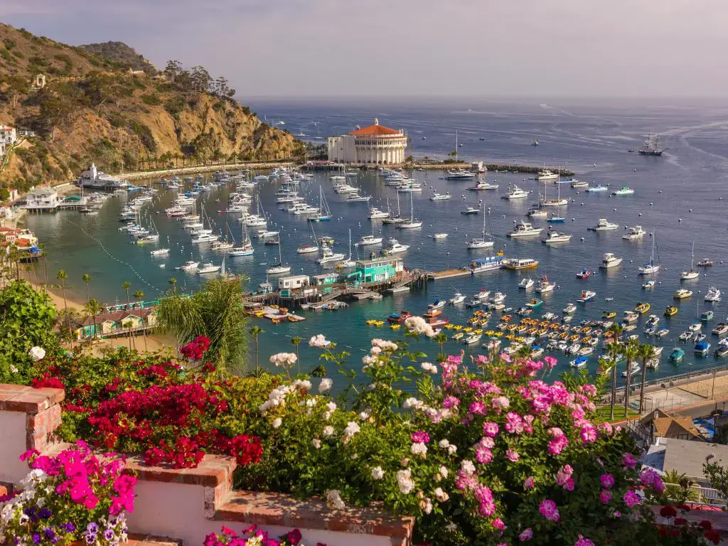 Viaje por carretera de Los Ángeles a la isla de Santa Catalina