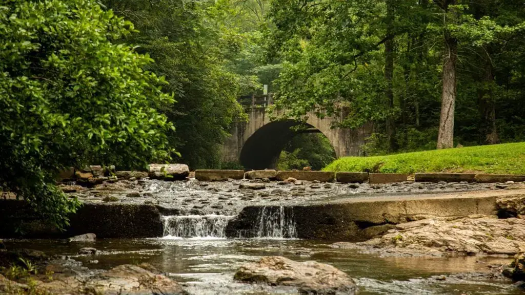 Los 25 mejores lugares para acampar en Arkansas (con lagos y vistas panorámicas)