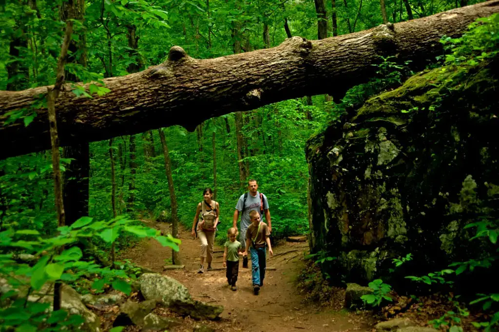 Los 25 mejores lugares para acampar en Arkansas (con lagos y vistas panorámicas)