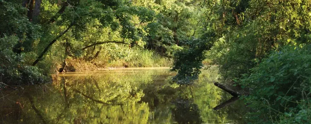 15 MEJORES parques acuáticos en Mississippi (¡diversión familiar favorita!)